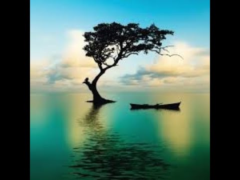 Видео: Сүйлөмдүн бир өңчөй мүчөлөрү.8-класстар (кыргыз) үчүн