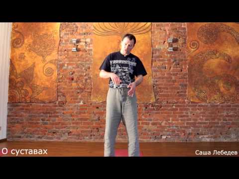 Видео: О суставах