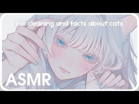 Видео: 🐾 ASMR | 14 милых фактов о кошках + ушная чистка