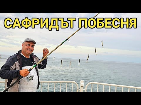 Видео: Сафридът полудя! Едри парчета на новото ми супер яко чепаре! Екшън пред стотици хора и много риба!