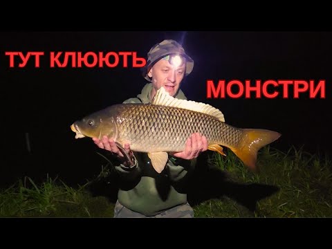 Видео: ШАЛЕНІ КЛЮВАННЯ НА ЧОРНОМУ ХУТОРІ.
