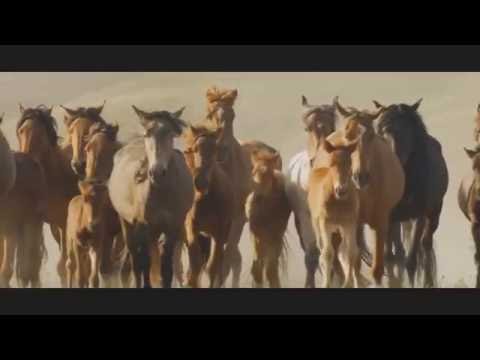 Видео: Тәуелсіз Қазақстан 25жыл (HD)