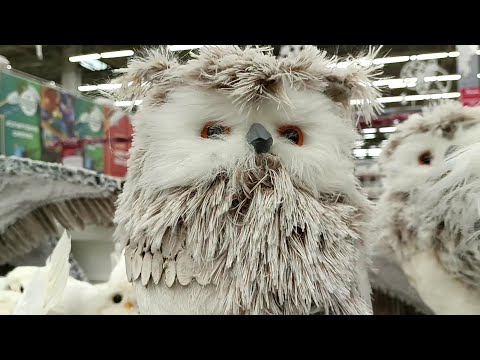 Видео: 🎄Ашан☃️🔥Новогодняя Сказка 2024🎊Красоты Много Не бывает🍃💖