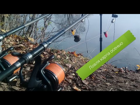 Видео: Ловля карпа осенью! Как и на что я буду ловить карпа! Прозевал поклевку!!!