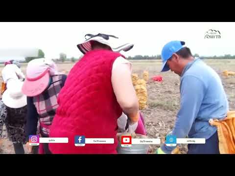 Видео: Түшкү ЖАҢЫЛЫКТАР топтому 27.08.2024