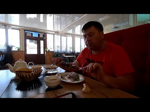 Видео: СНОВА ЖИВУ СУТКАМИ В КАБИНЕ В СТЕПИ | Трактор К-700 с кабиной Renault Magnum