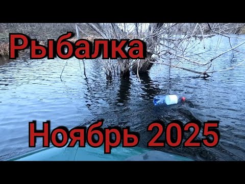 Видео: Рыбалка на большой поплавок 14 ноября 2025 г.На дикой реке!Оставил боклашки без присмотра и шок!
