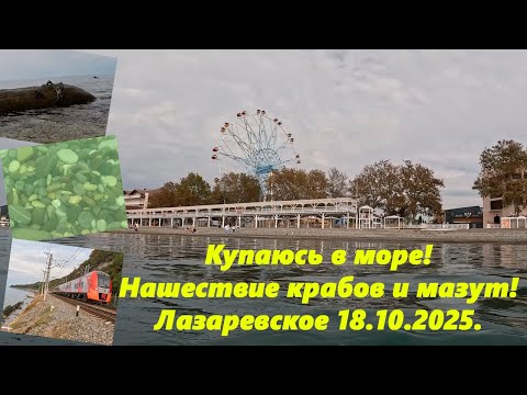 Видео: Купаюсь в море! Нашествие рабов и мазут! Лазаревское 18.10.2025.