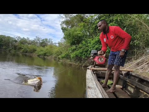 Видео: Ловля белого люциана прямо в его гнезде