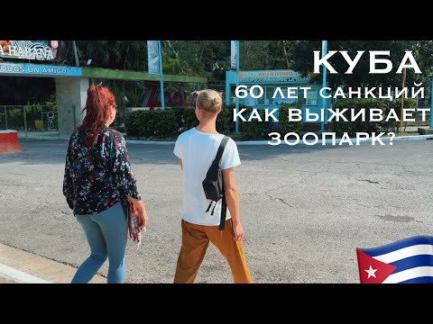 Видео: 60 ЛЕТ САНКЦИЙ! Как ВЫЖИВАЕТ Кубинский ЗООПАРК? ТОП ЗООПАРКОВ МИРА. ДОГАМАРУ КУБА
