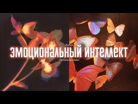 Видео: высокий уровень эмоционального интеллекта | саблиминал