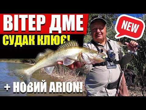 Видео: Прикмета врятувала судачу сесію! Тест-драйв нового Crazy Fish Arion 862MLT