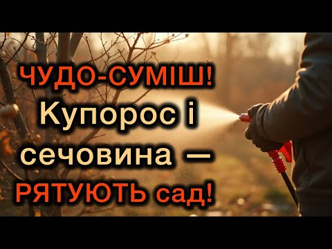 Видео: ЧУДО-СУМІШ! Купорос і сечовина — РЯТУЮТЬ сад!
