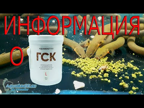 Видео: ГСК – просто хороший корм для аквариумных рыбок и не только