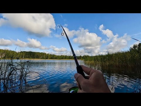 Видео: ПОППЕРЫ,ВЕРТУШКИ,КОЛЕБАЛКИ,СИЛИКОН.ЧТО ПОНРАВИТСЯ МЕСТНОЙ ЩУКЕ??? ПОДБИРАЮ КЛЮЧИК!!!