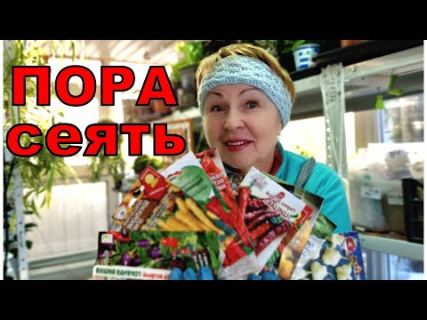 Видео: Какие Перцы уже пора сеять и почему? Они стали любимыми, но как выбрать и сколько