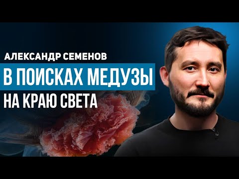 Видео: Александр Семенов: В поисках медузы на краю света