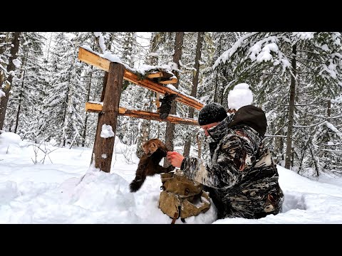 Видео: И СНОВА В ТАЙГУ НА ПРОВЕРКУ КАПКАНОВ.ЛИСА НА ПУТИКЕ.ФЕВРАЛЬ 2023.