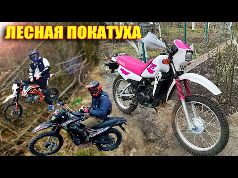 Видео: 30 лет без замены поршня ! YAMAHA DT 50 катаем по лесах