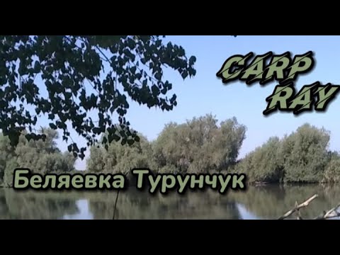 Видео: Беляевка Турунчук