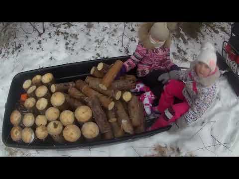 Видео: Очередная субботняя вылазка в лес всей семьёй.