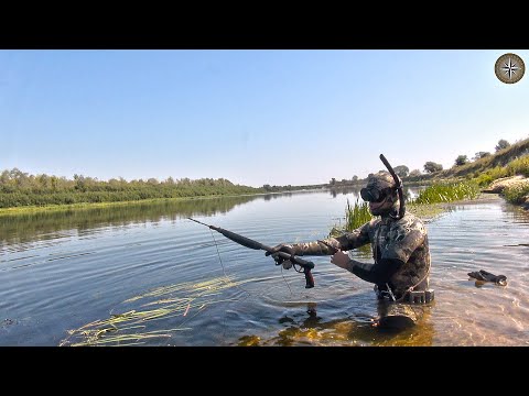 Видео: ПОДВОДНАЯ ОХОТА (на ДИКОМ БЕРЕГУ). КОМПАС №47