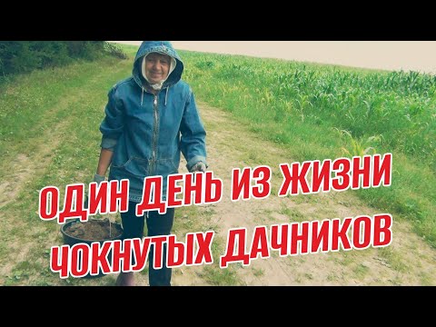 Видео: ОДИН ДЕНЬ ИЗ ЖИЗНИ ЧОКНУТЫХ ДАЧНИКОВ от грибов до лука