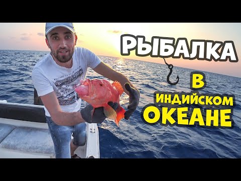 Видео: Рыбалка в индийском океане! Офигел от такой рыбалки и рыбы.