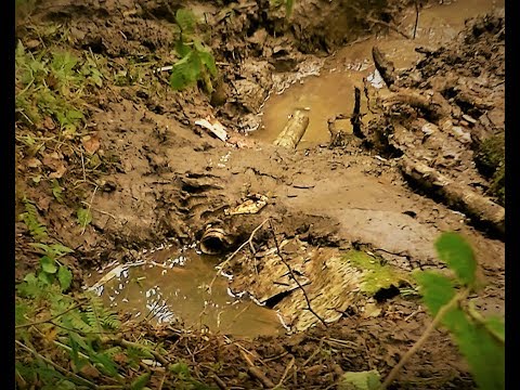 Видео: ПИТЬЕВАЯ ВОДА даже на БОЛОТАХ - Песок, Тропы и Норы ПОДСКАЖУТ
