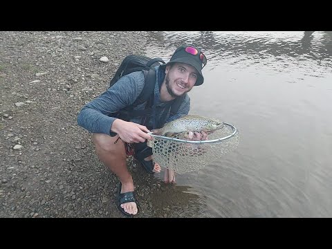 Видео: Підібрав приманку і НАЛОВИВ ФОРЕЛІ!!!!. Риболовля у карпатах.