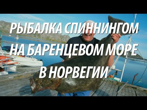 Видео: СПИННИНГОВАЯ РЫБАЛКА НА БАРЕНЦЕВОМ МОРЕ В НОРВЕГИИ. ЛОВЛЯ ПАЛТУСА, ТРЕСКИ, ПИКШИ НА ПИЛЬКЕРЫ