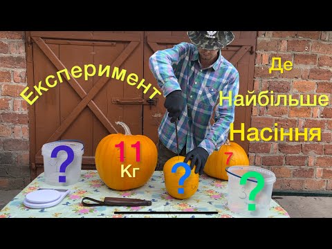 Видео: Експеримент ,де найбільше насіння гарбуза?