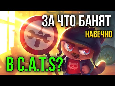 Видео: За что БАНЯТ НАВСЕГДА в C.A.T.S: Crash Arena Turbo Stars?