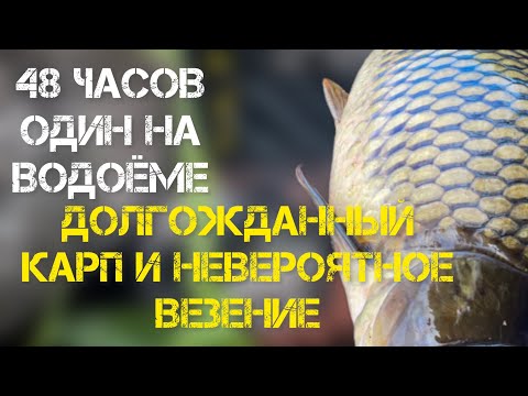 Видео: Карпфишинг 2022! Рыбалка на карпа в завоз! 48 часов один на водоёме! Огромный карп рвёт леску!