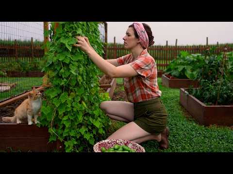 Видео: Жизнь в деревне: готовим персиковый пирог 🍑 консервируем фрукты 🌼 живём медленно