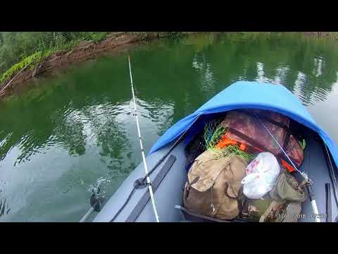 Видео: Амыл с Ширыштыка 2018