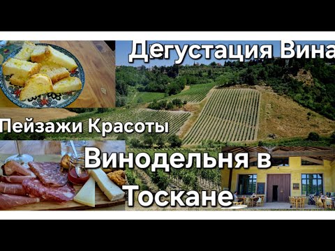 Видео: #Италия Путешествие по Тоскане#Экскурсия по Винодельне Дегустация Вина и Оливкового Масло#Пейзажи