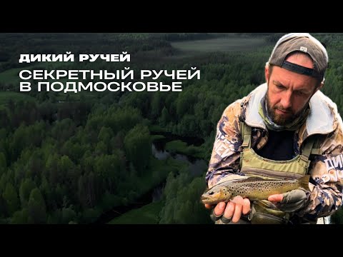 Видео: Секретный ручей в Подмосковье // Дикий ручей