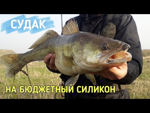 Видео: РЫБАЛКА. ТРОФЕЙНЫЙ СУДАК НА СИЛИКОН на Южном Буге. Моя новинка 2020. Ловля судака на спиннинг.