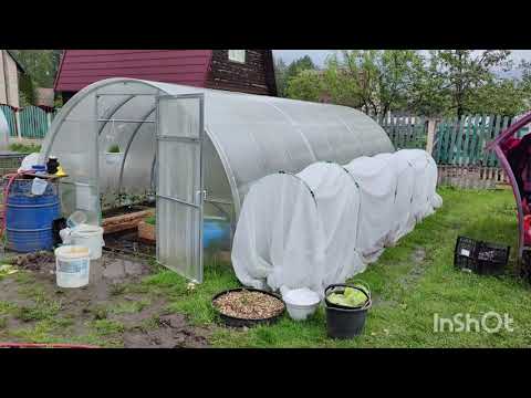 Видео: ТЕПЛИЦЫ ЗАТОПИЛО#ПЕРВЫЕ ОГУРЦЫ #МИНИ ДОМ ГОТОВ