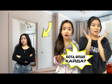 Видео: БОТА ӘПШЕ ҚАЙДААА??? ИБРАЙХАНОВЫ МЕН БІРГЕ ІЗДЕДІМ 😳😱 ЗЕЙІН МЕН РАЙАНА ШОК 😰 @Ibraikhanovy