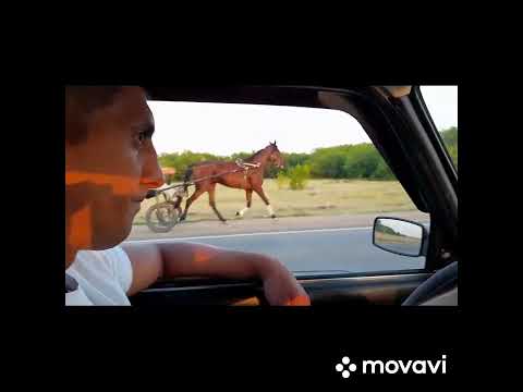 Видео: ваня пласто