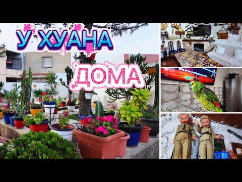 Видео: ИСПАНИЯ ВЛОГ. ПРИЕХАЛИ ДОМОЙ К ХУАНУ