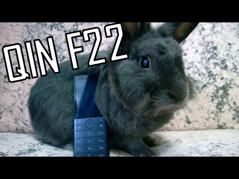 Видео: QIN F22| ИЛИ КАК ИЗБАВИТЬСЯ ОТ СОЦ. СЕТЕЙ