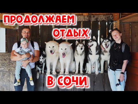 Видео: Сочи | Продолжаем отдых с ребенком в горах. Отель Эрбелия от Васта