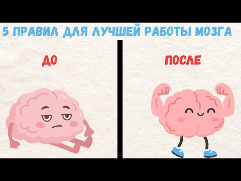 Видео: Как заставить мозг кайфовать от сложного