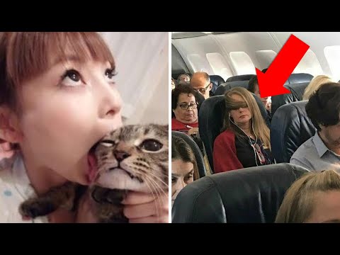 Видео: Женская логика, которую невозможно понять