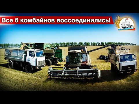 Видео: До конца уборки менее 300 га.! Скучковались все "ёжики" на поле с яровой пшеницей.