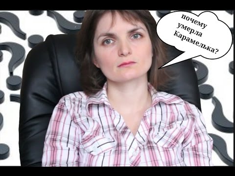 Видео: Почему умерла Карамелька? Виноваты ли ветеринары?