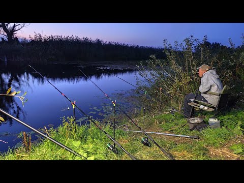 Видео: НАЛОВИВ СТІЛЬКИ ЩО НЕ ЗМІГ ПІДНЯТИ. Рибалка на кормачки